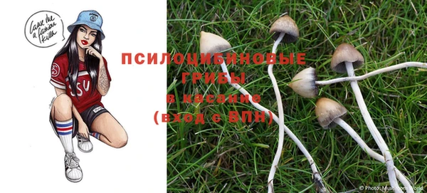 амф Лабытнанги
