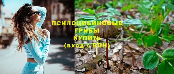 ешки Ладушкин