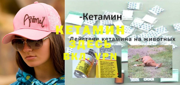 амф Лабытнанги