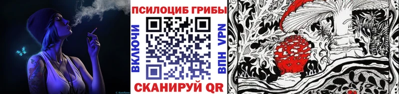 Псилоцибиновые грибы Psilocybe  Чебаркуль 