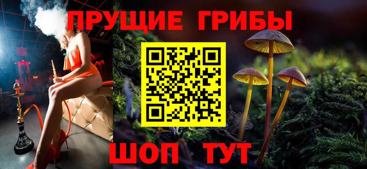 Чебаркуль  Галлюциногенные грибы Psilocybine cubensis  сколько стоит  Галлюциногенные грибы Psilocybe  Вход с VPN 