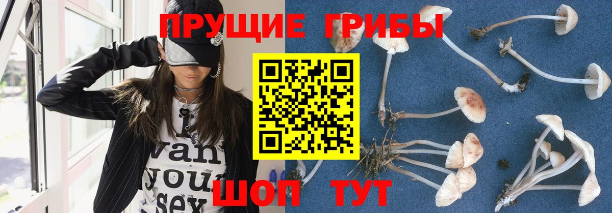 Псилоцибиновые грибы GOLDEN TEACHER Чебаркуль